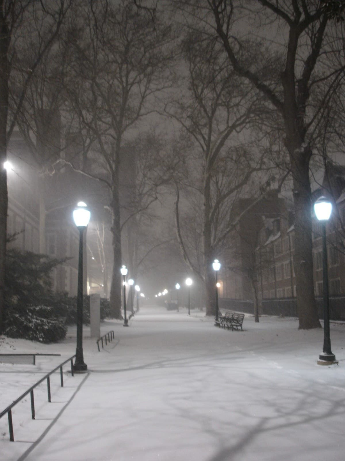 A snow-covered campus walkway at night, lined with glowing lampposts and bare trees fading into fog, with benches and brick buildings along the sides.